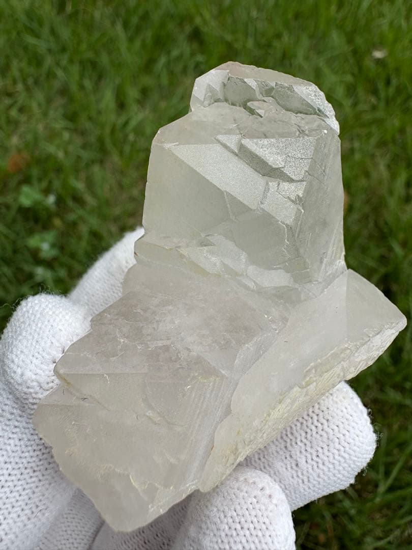 【匿名発送】パキスタン産グインデル