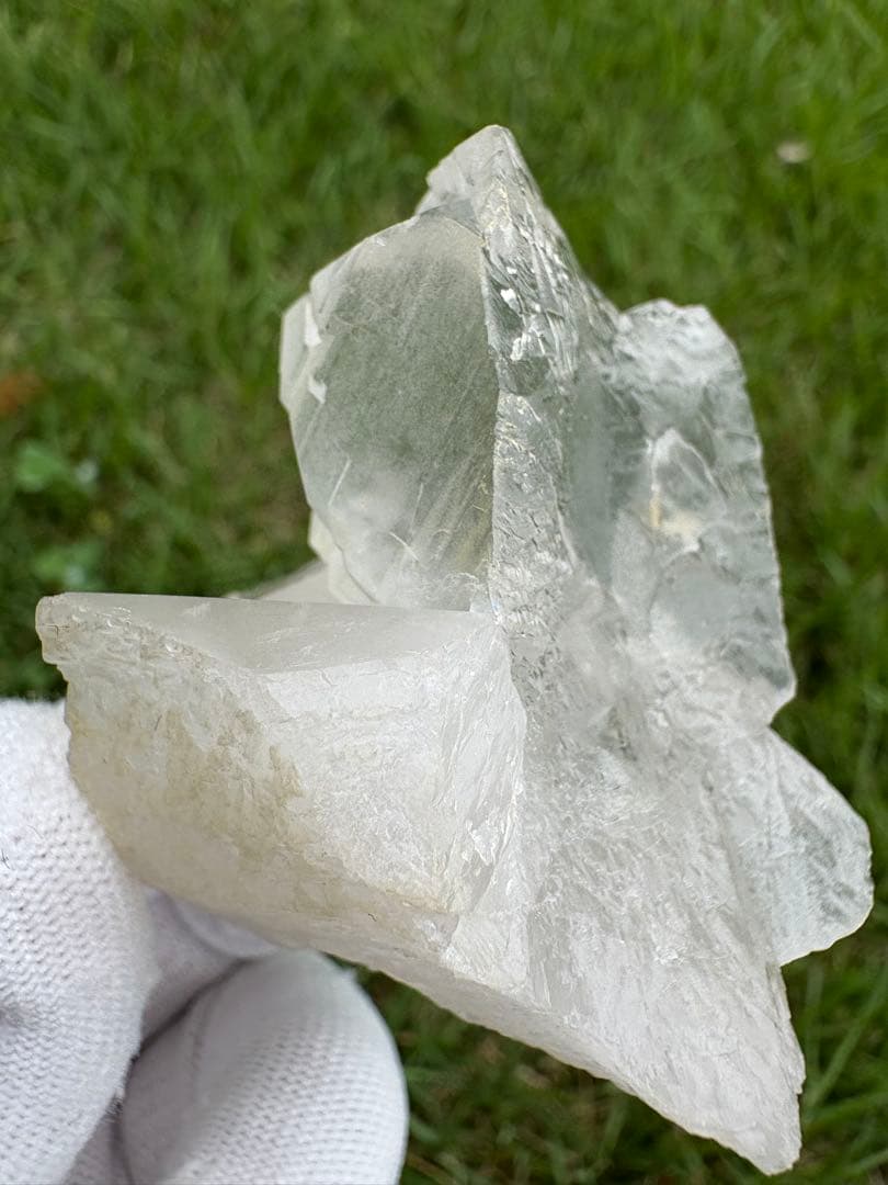 【匿名発送】パキスタン産グインデル