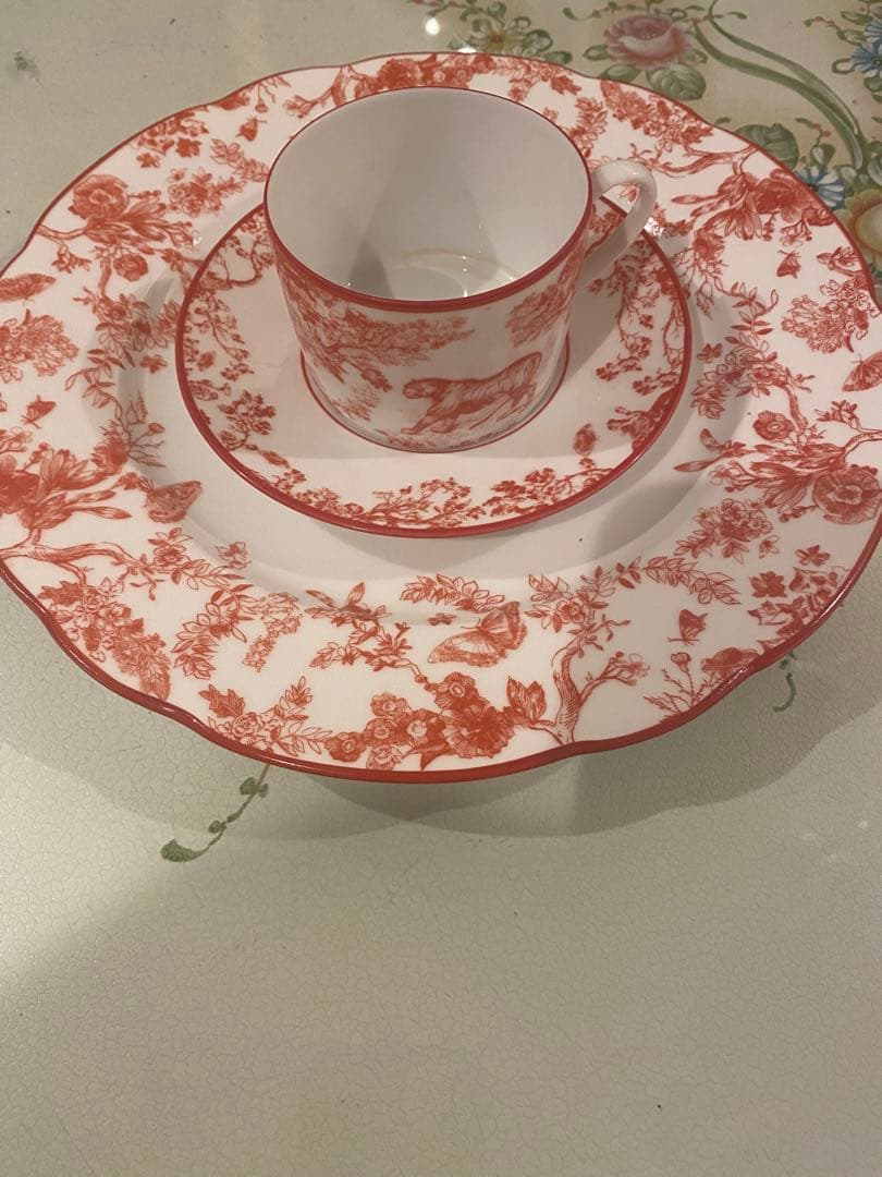 【Dior】磁器 カップ&ソーサー、ディナープレート 27cm 3点セット