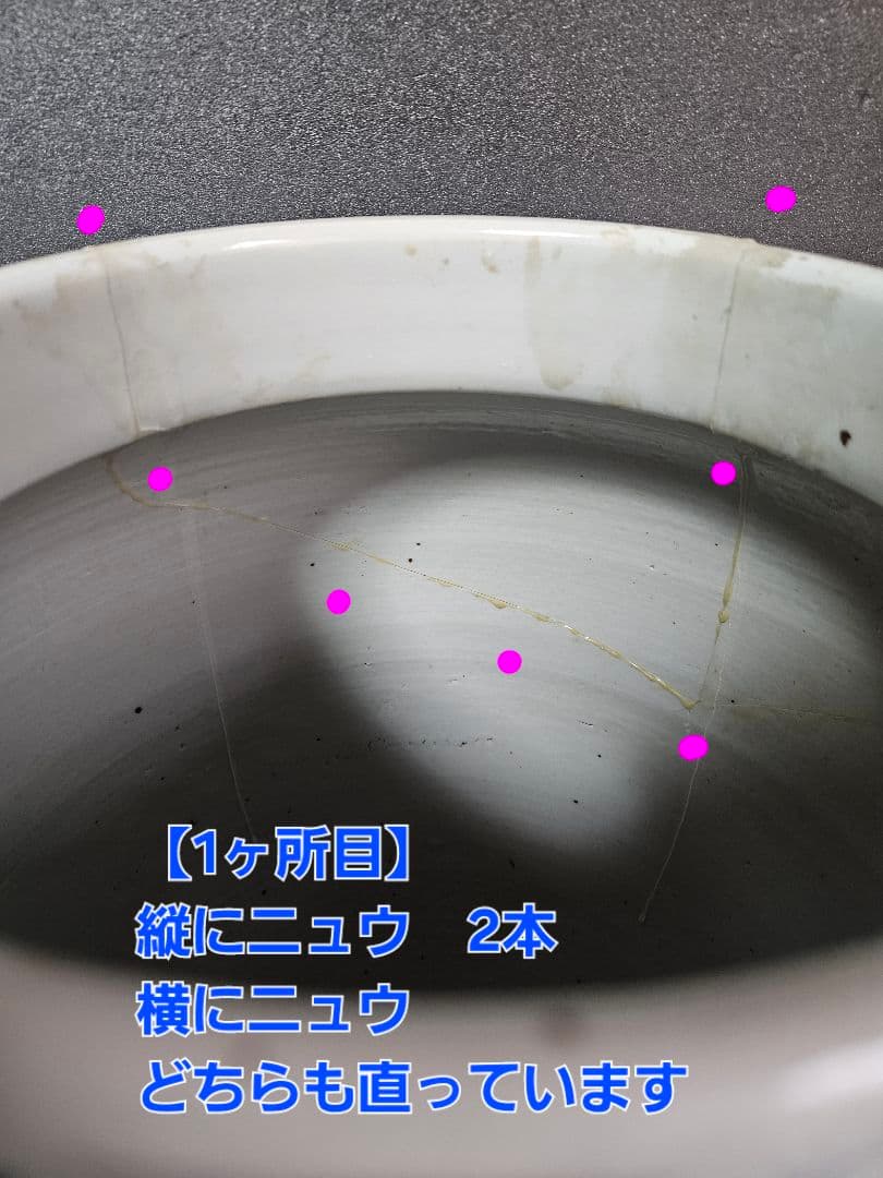 【専用ページ❗】中国古陶磁器　清朝清代　青華　鳥に草花図　高さ40.6cm　大壺