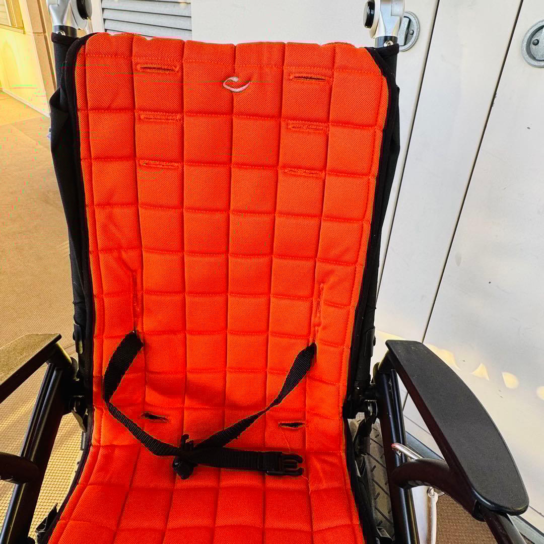 限定値下げ！cricket クリケット サイズ2 小児福祉バギー