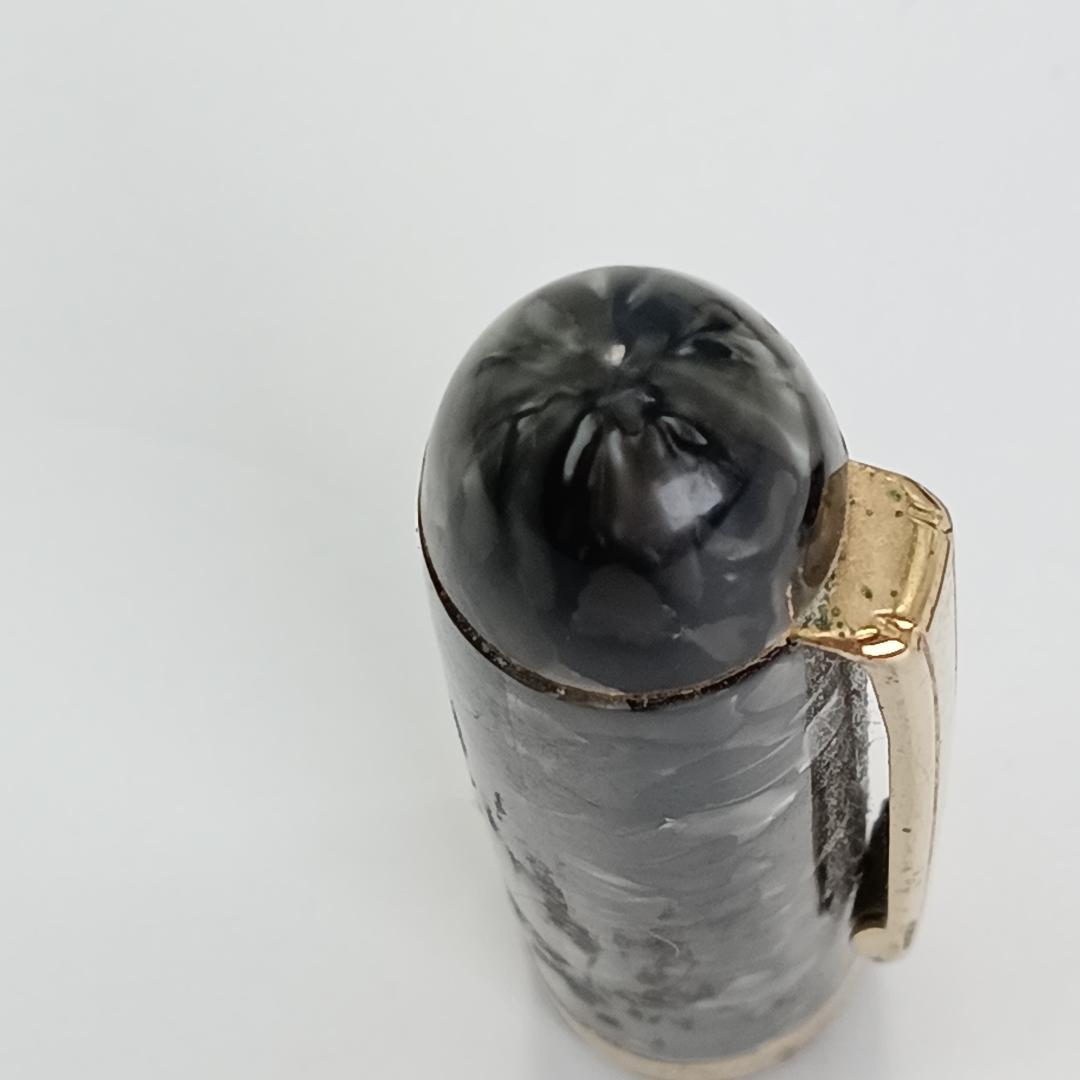 稀少 PLATINUM プラチナ 14Ｋ 万年筆 ブラック 3776 マーブル