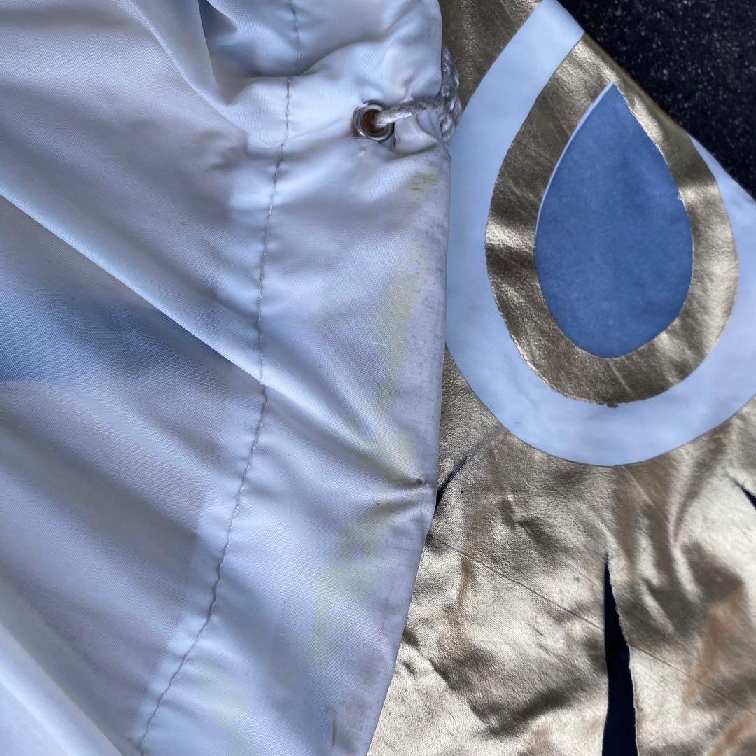 鯉のぼり　フジサワ　6M　金太郎　黄金鯉