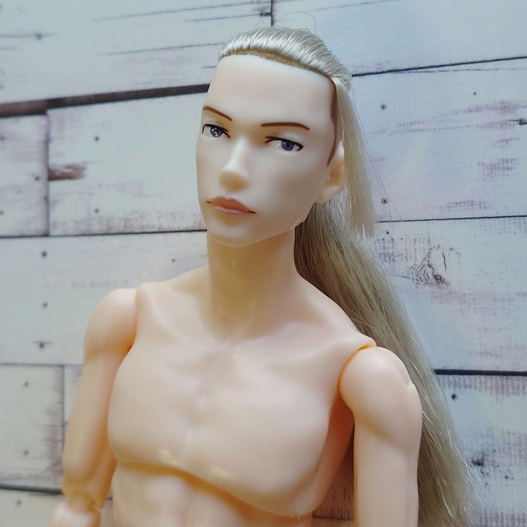 六分の一男子図鑑　ナイン　本体のみ