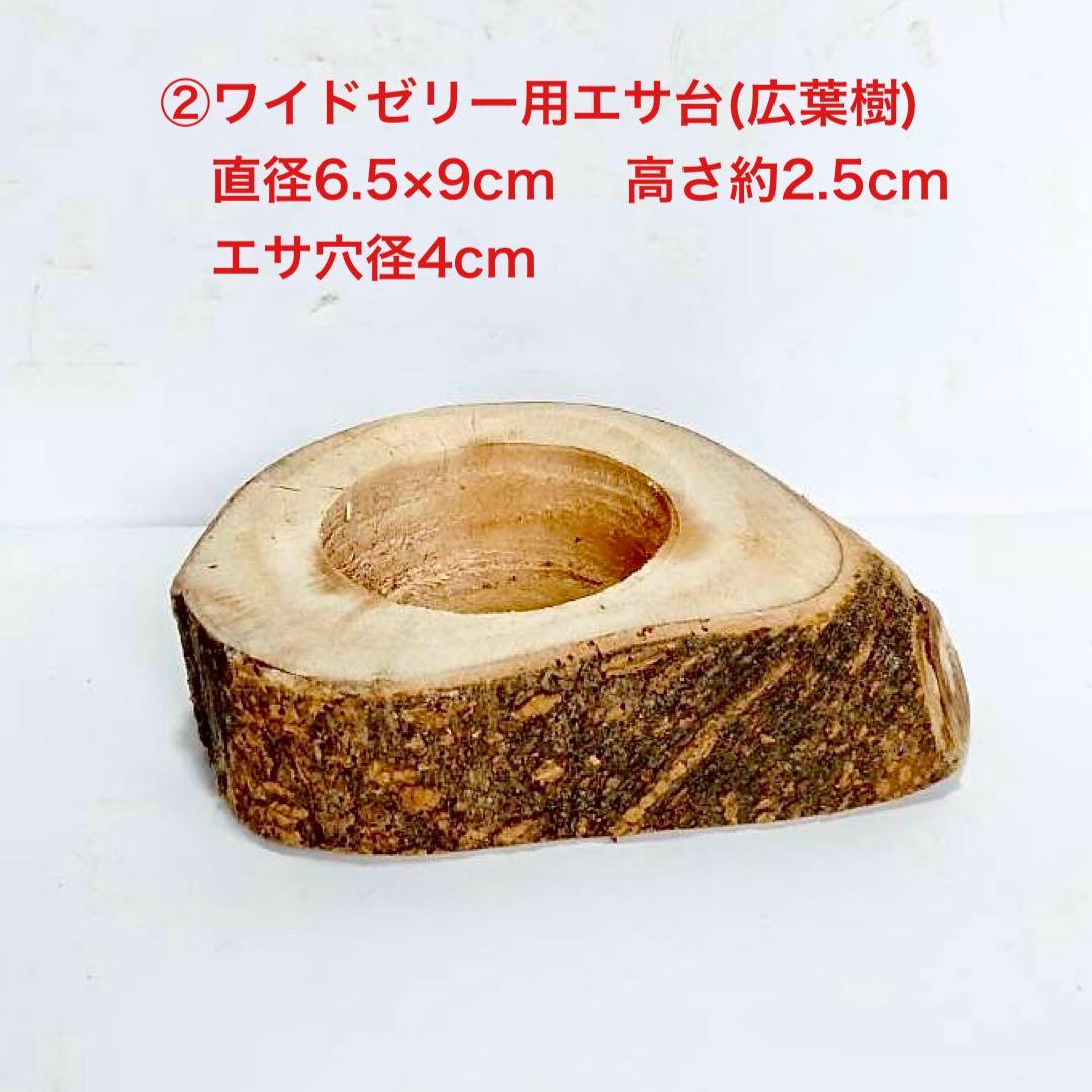 あ様 リクエスト 2点 まとめ商品　隠れ家　樹洞　クワリウム　エサ皿　クワガタ