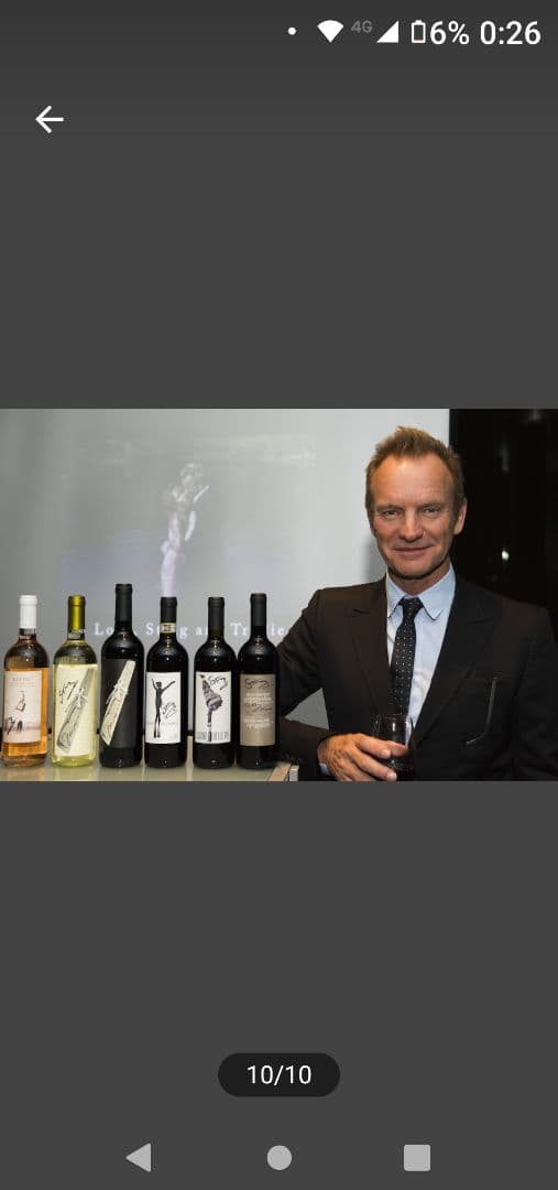 レア　未開封　STING　スティング　ワイン　3本セット　イタリア・ワイン果実酒