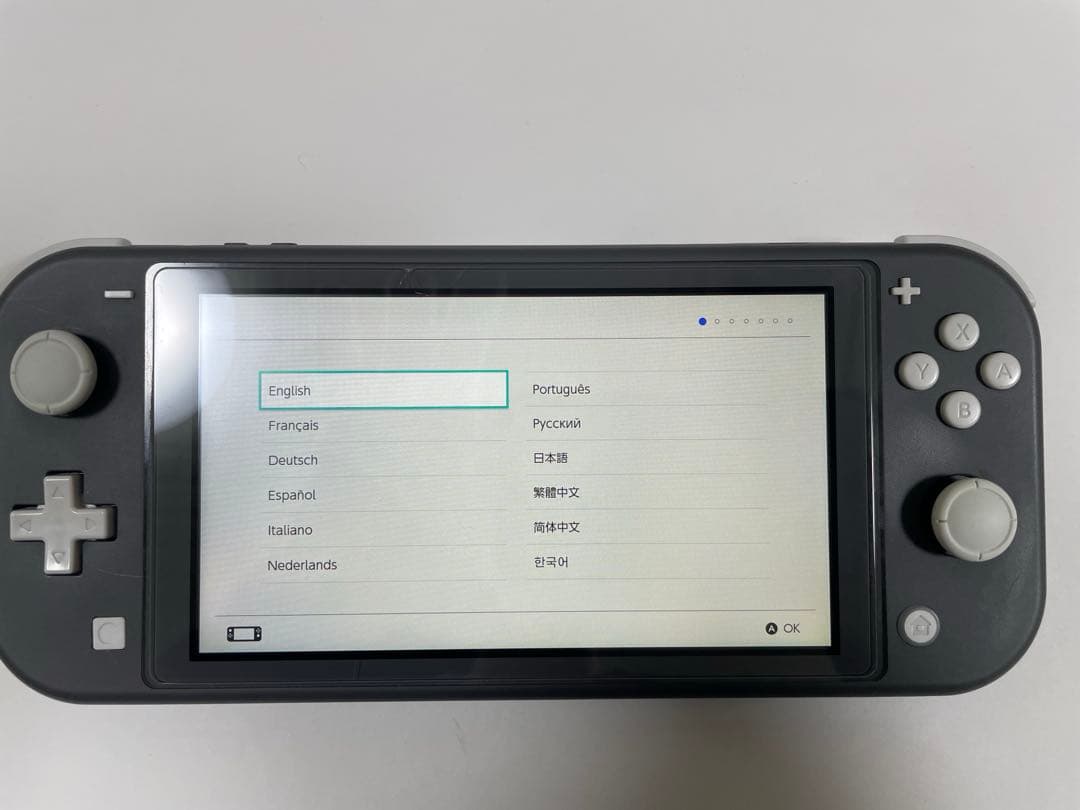 画面キズ有・Switch Lite ・グレー・希望でオマケ付