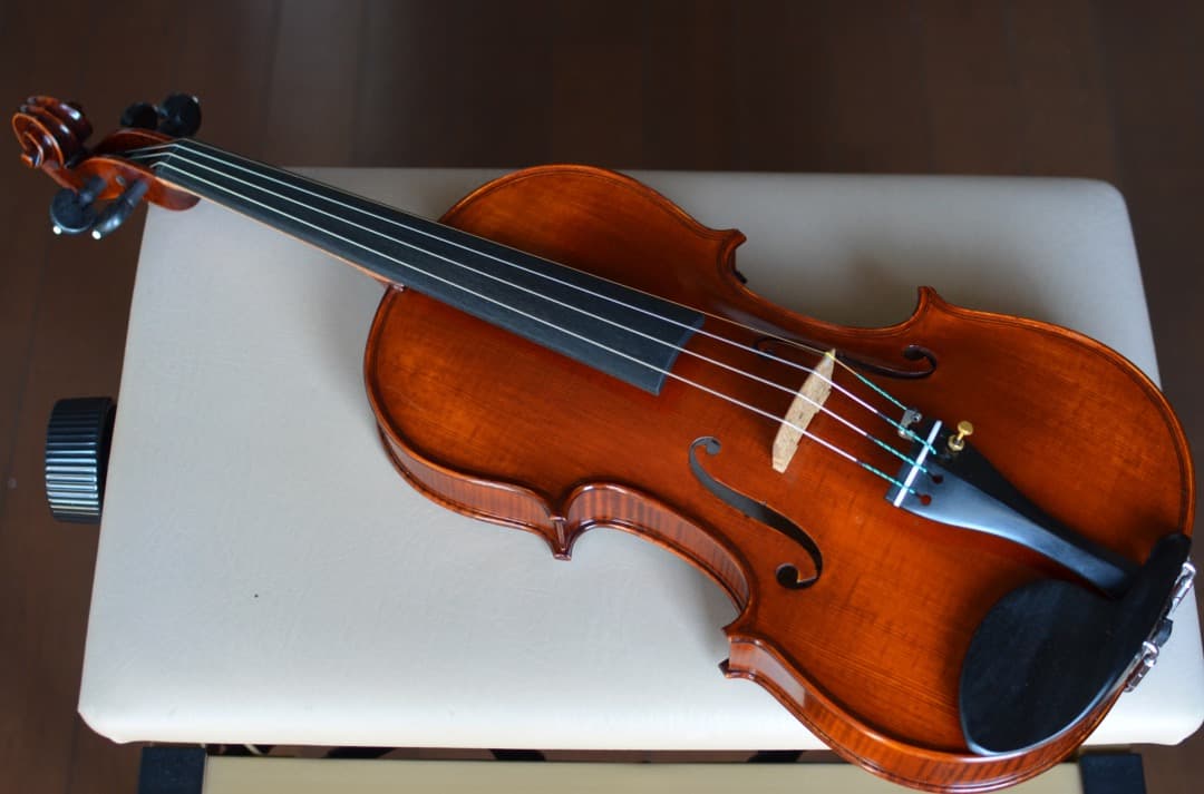 【新品】Gliga Cristian Maestro 4/4 そうちゃん