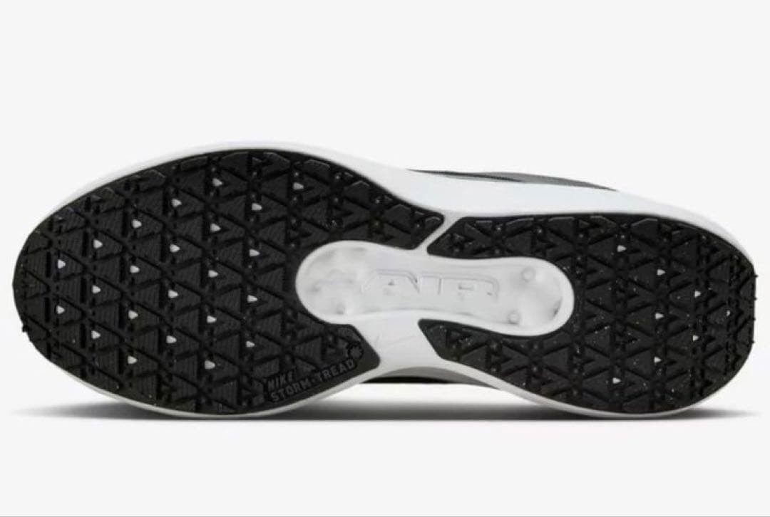 ナイキ ウィンフロー 11 ゴアテックス