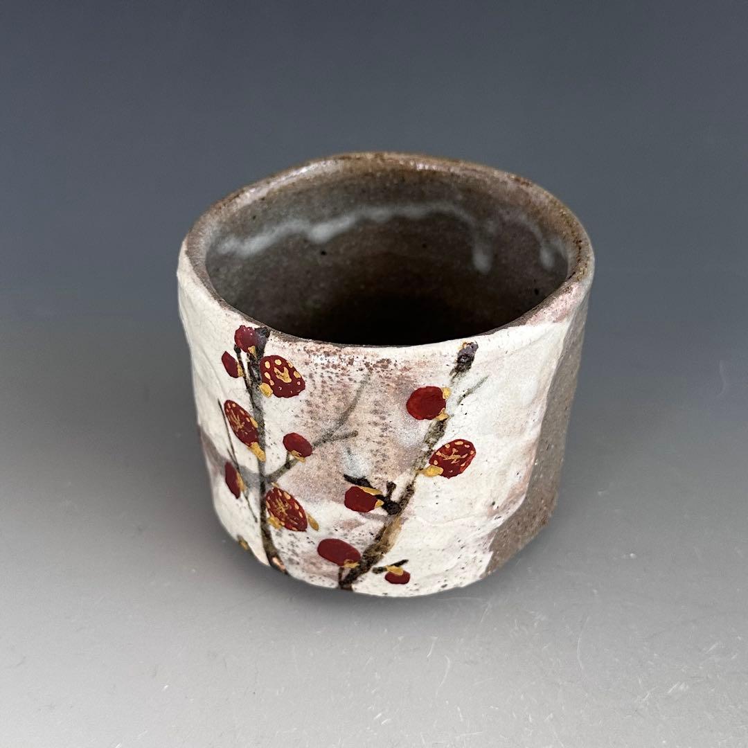 茶道具　紅白梅　茶碗　虎溪山　水月窯　荒川武夫　共箱　抹茶　多治見　陶芸　春