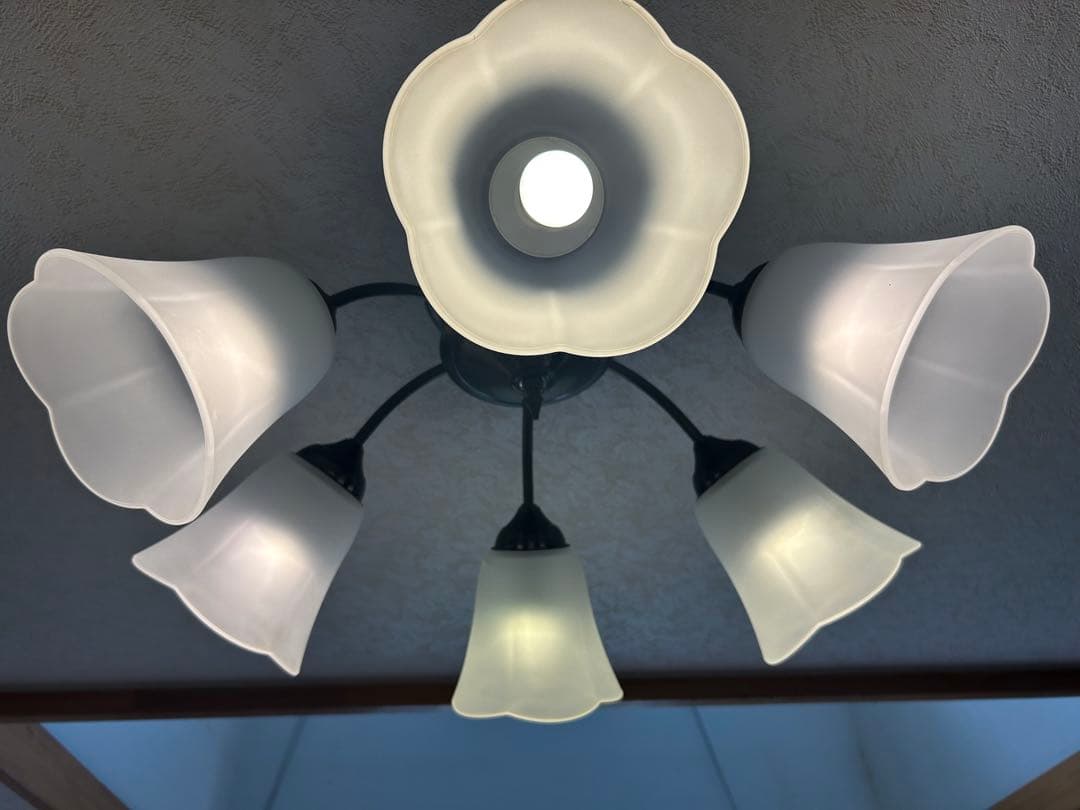 フラワー型シャンデリア 6灯 ホワイト