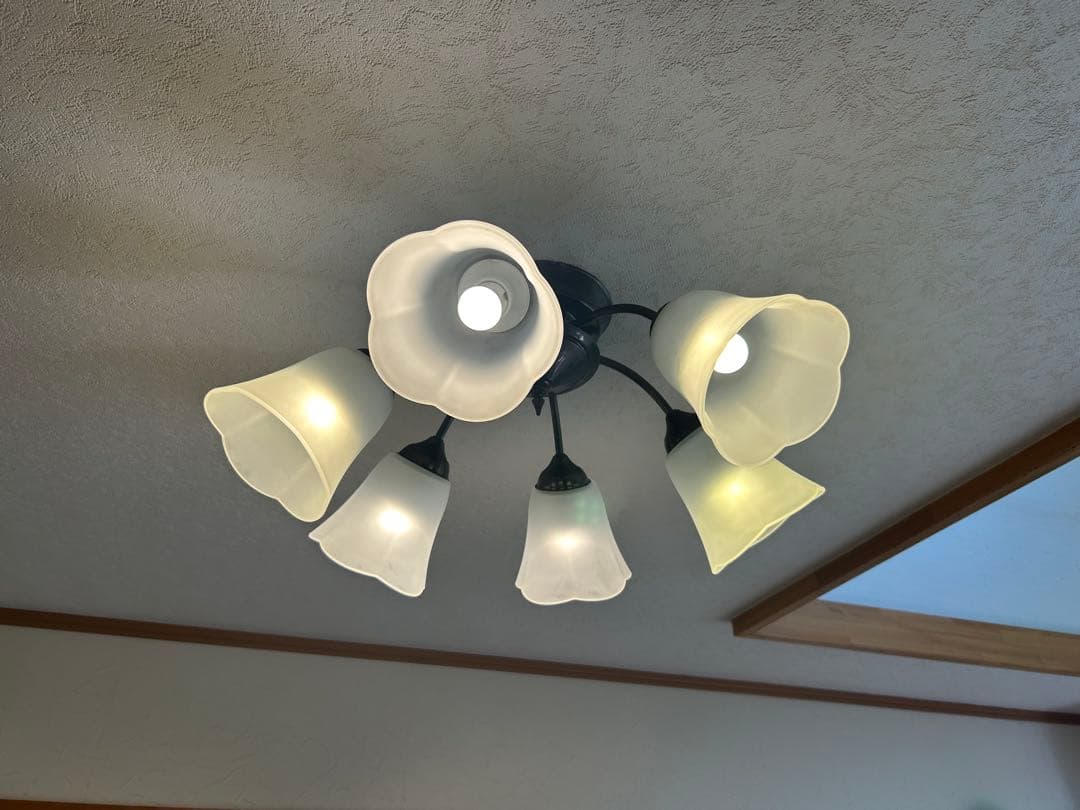 フラワー型シャンデリア 6灯 ホワイト