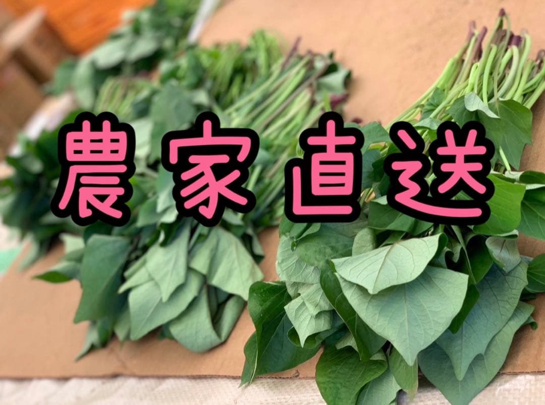 【予約受付中】紅はるか苗☆ウイルスフリー 1,400本 5月上旬から発送開始