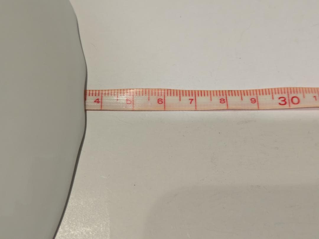 Richard Ginori ベッキオホワイト スーププレート 24cm ×6枚