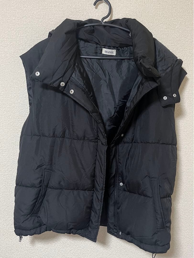 16日限定値下げ！DIANTE ディアンテ　ダウンベストジャケット