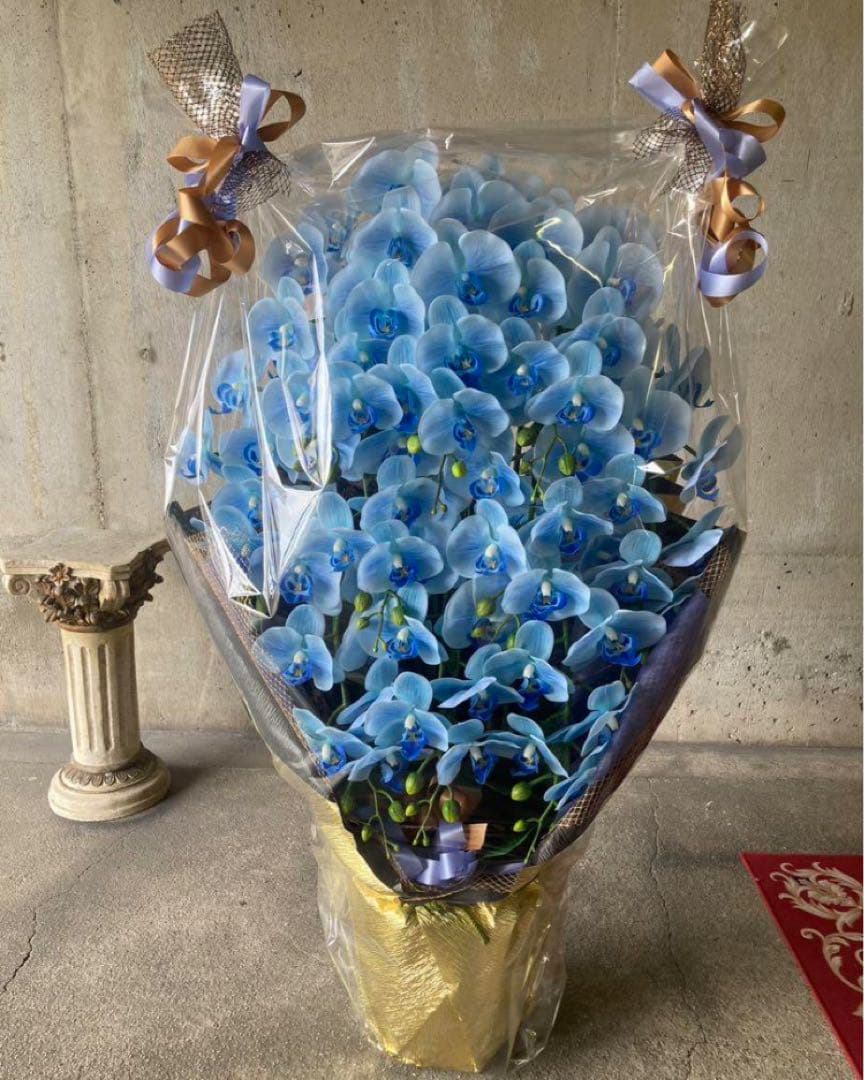 光触媒　人工観葉植物　ウォールグリーン　フェイクグリーン　リアル胡蝶蘭１０本't