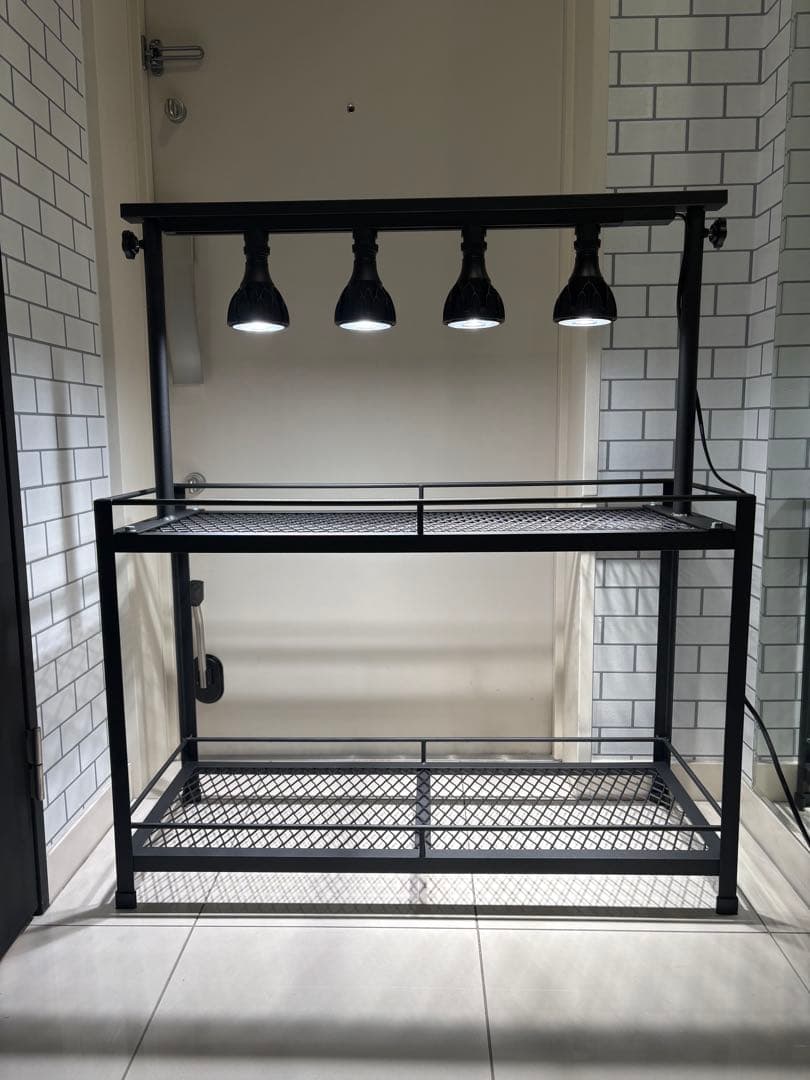 植物棚　アイアン棚　伸縮ライトレール　パキプス　アイアンシェルフ　アガベ