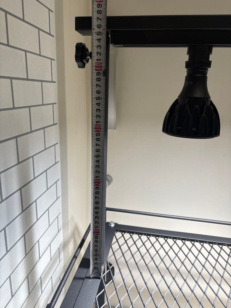 植物棚　アイアン棚　伸縮ライトレール　パキプス　アイアンシェルフ　アガベ