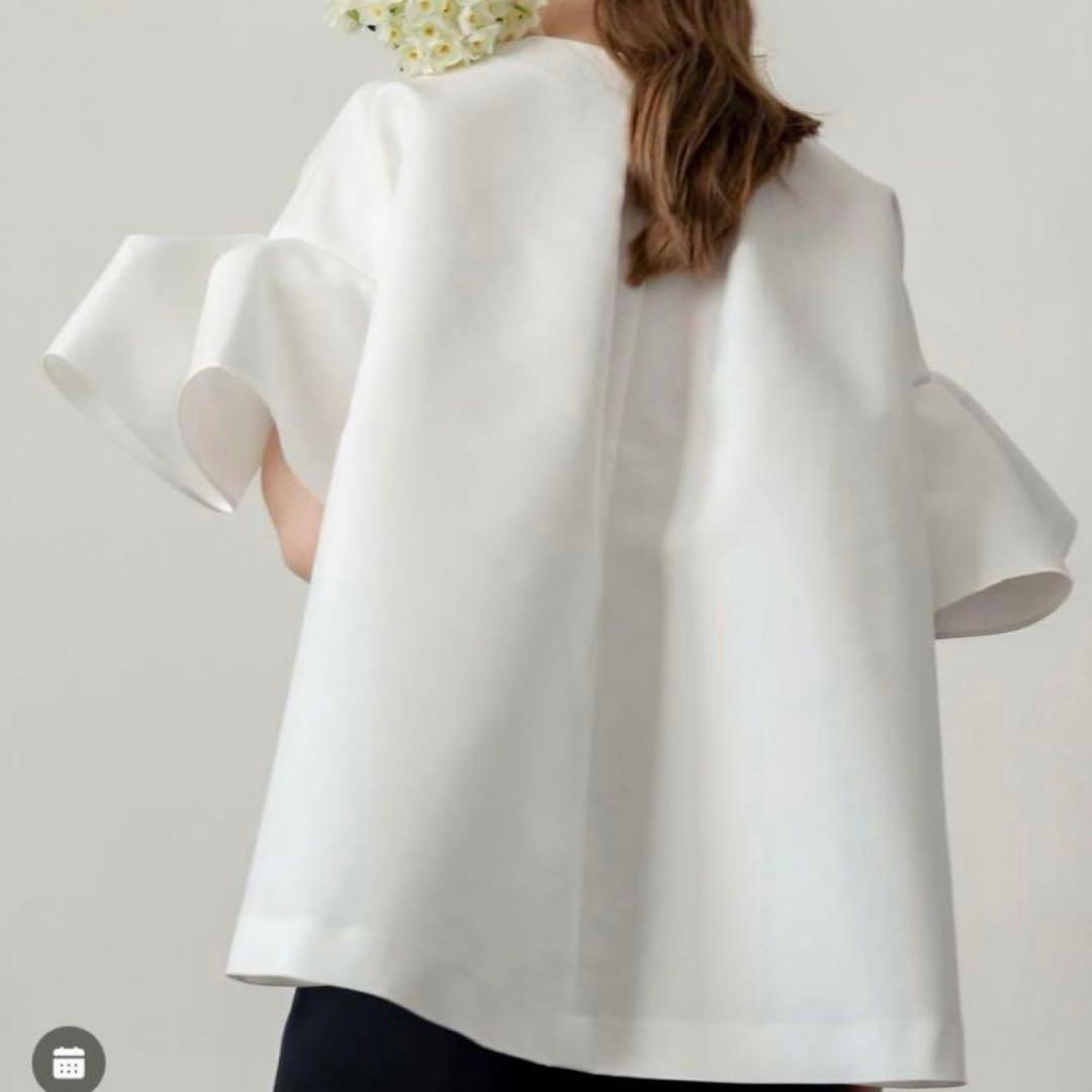 Heve へイブ　ホワイト フィンスリーブ トップス　完売品