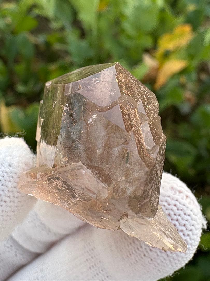 【匿名発送】パキスタン産スモーキーグインデル