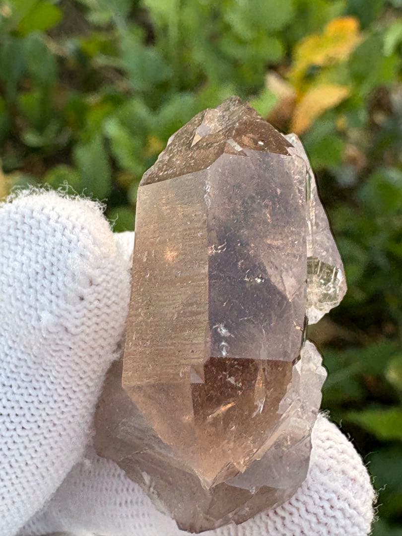 【匿名発送】パキスタン産スモーキーグインデル