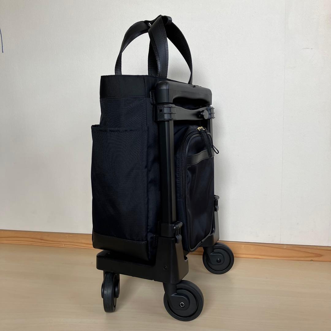 スワニー キャリーバッグ　ルバンド (M18)