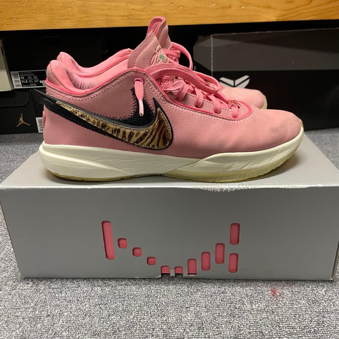 シューズ(男性用) NIKE LeBron20 South Beast