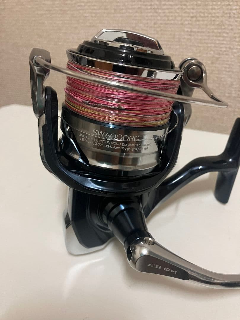 21 ツインパワーSW 6000HG TWINPOWER シマノ