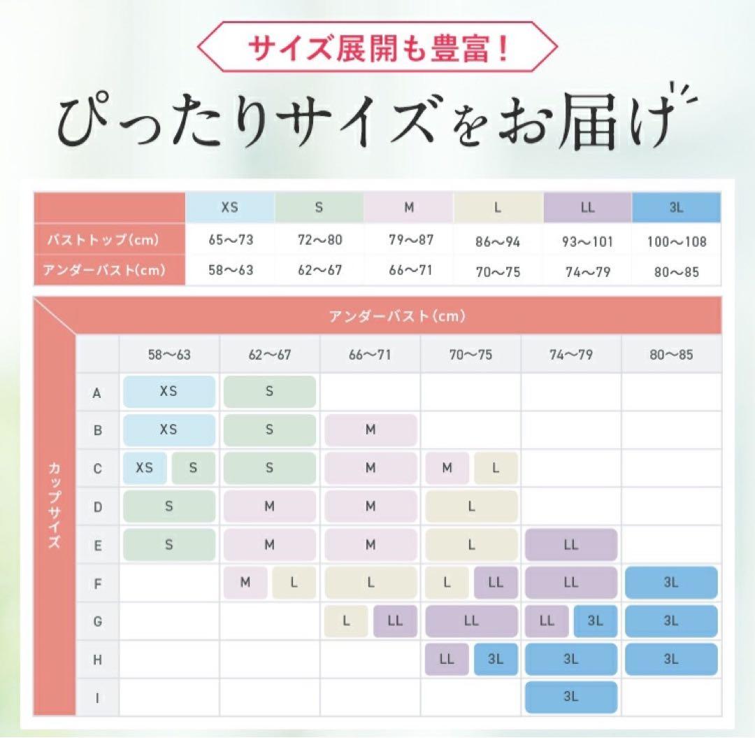 PGブラ ブラック ＬＬサイズ1枚