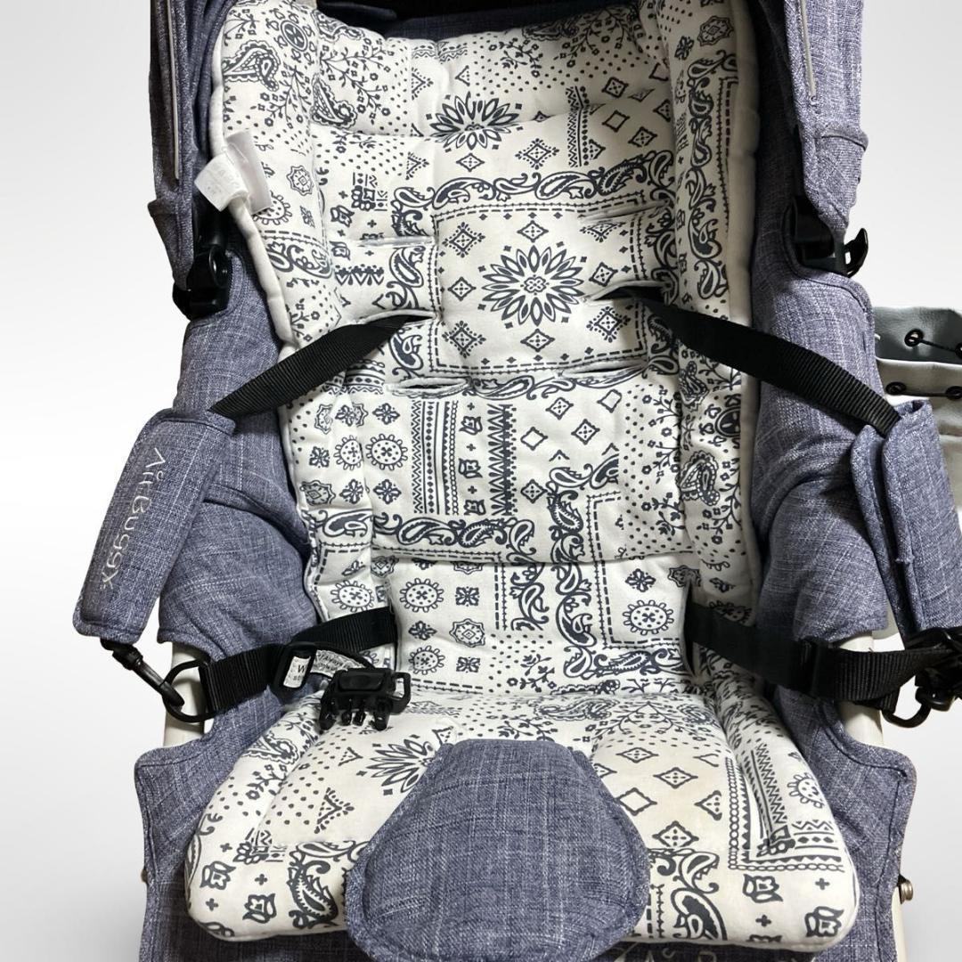 エアバギー AirBuggy COCO Brake EX ココブレーキEX