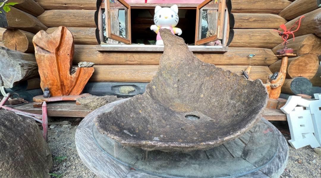 特殊な鉢　京鞍馬風手造り鉢 粋な鉢　変わり樹形に　77センチ