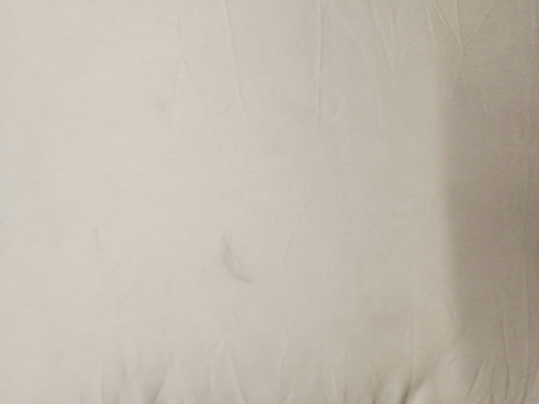 Brinkhaus ダウン/フェザー ピロー（イヴ ドローム購入） 【新品】