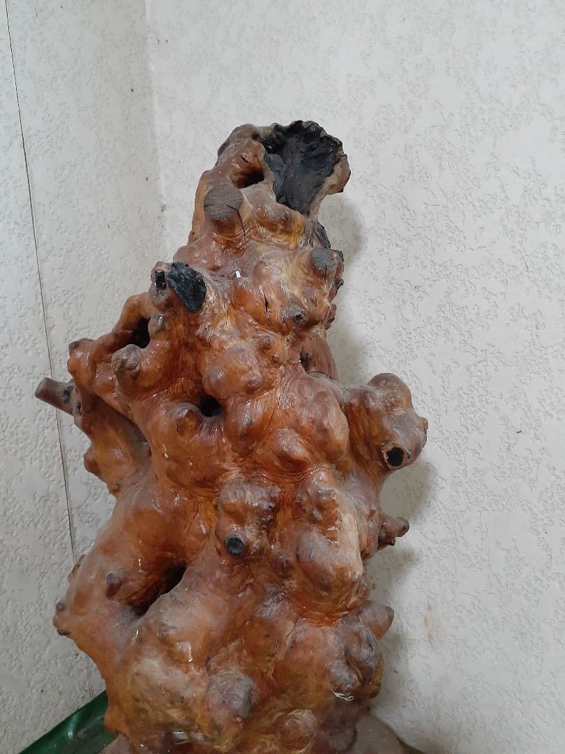 黒柿　根瘤　骨董　置き物