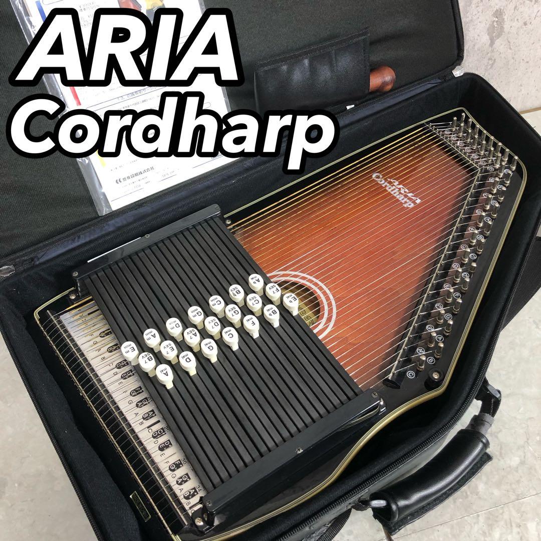 ARIA　AH-21E　弦楽器　コードハープ　専用ケース　ピックアップ搭載モデル