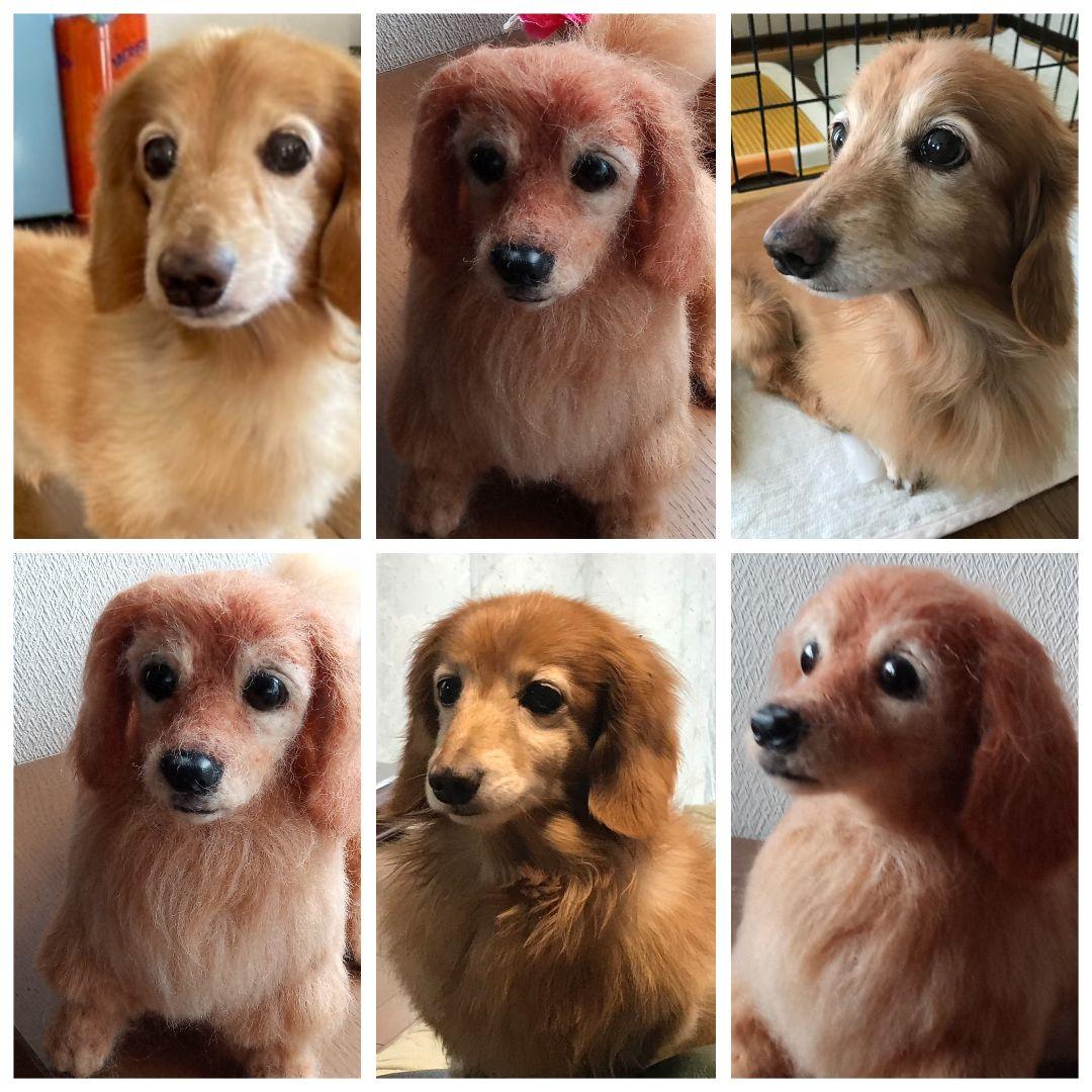愛犬の羊毛フェルトオーダー制作・わんちゃん・犬