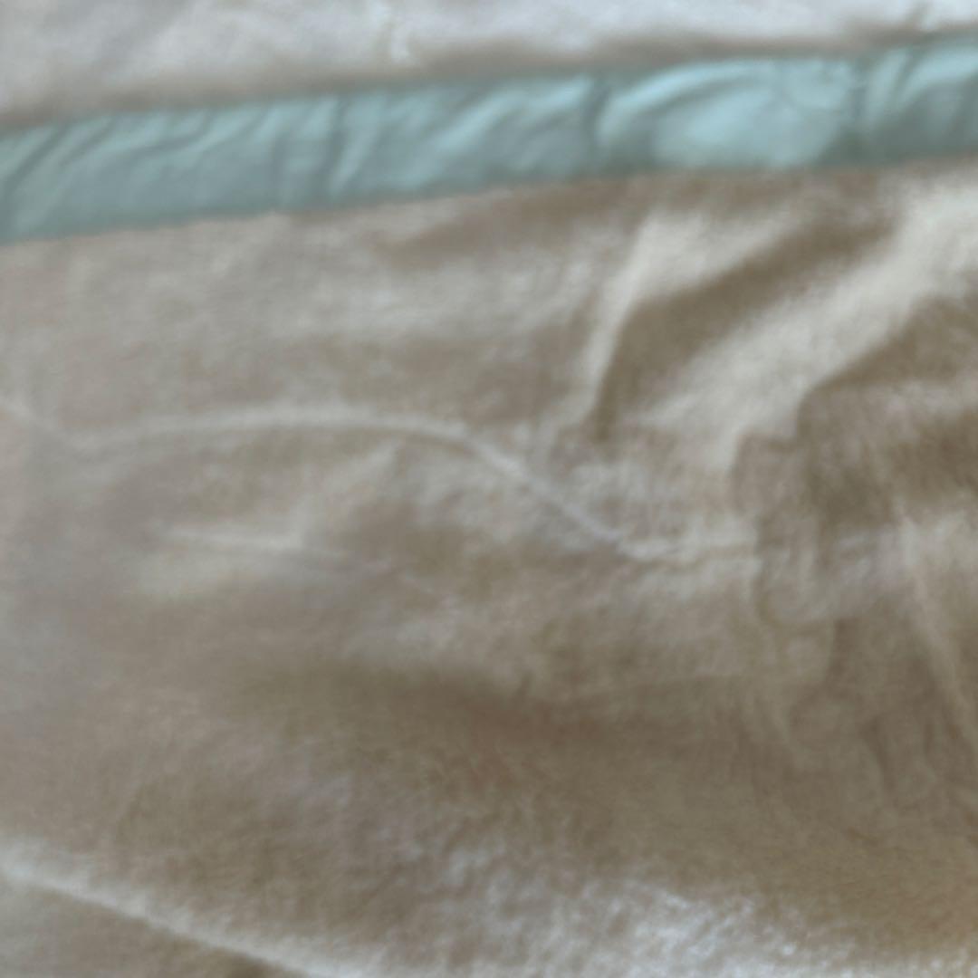 さえら　綿毛布