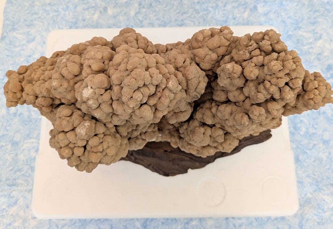 最終値下げ　希少　特大　鍾乳石　水石　　飾り石　レア物　入手困難　お買い得