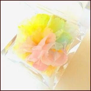 【高級プリザーブドフラワー】 パステルレインボーカーネーション ジュエリー