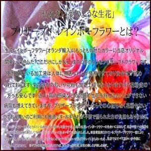 【高級プリザーブドフラワー】 パステルレインボーカーネーション ジュエリー