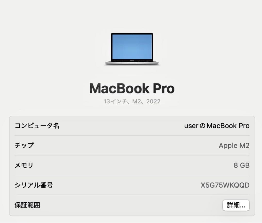 MacBook本体 MacBook Pro (13-inch, M2,2022) 8GB 256GB