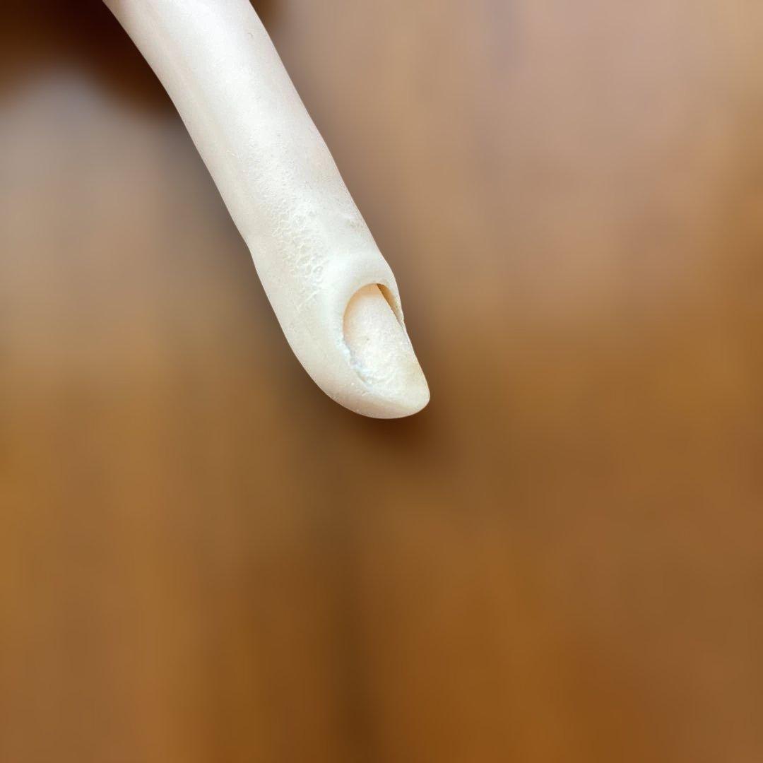 ネイリスト技能検定試験用JNEC認定モデルハンド チップ・シール付