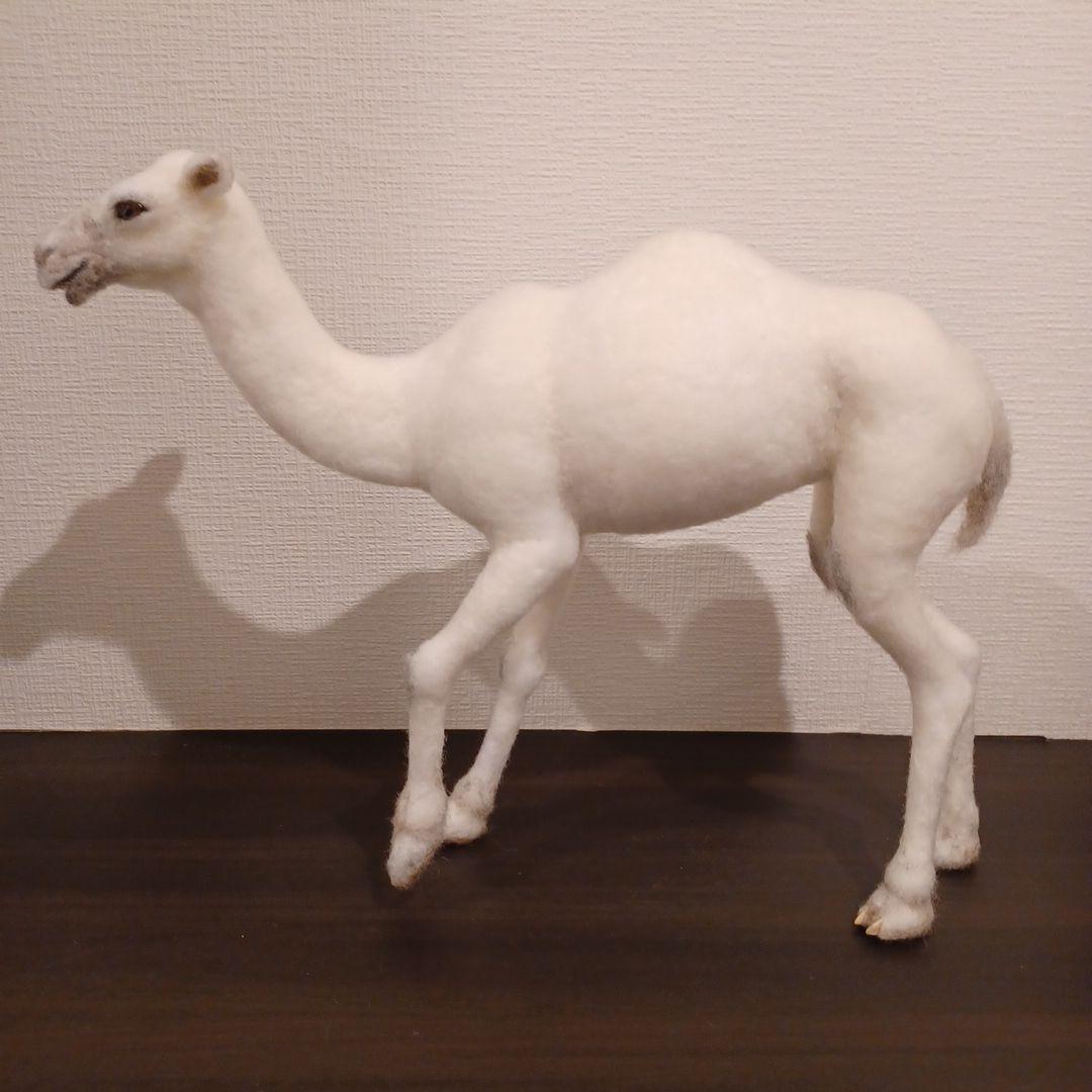ラクダ(羊毛フェルト)ホワイト