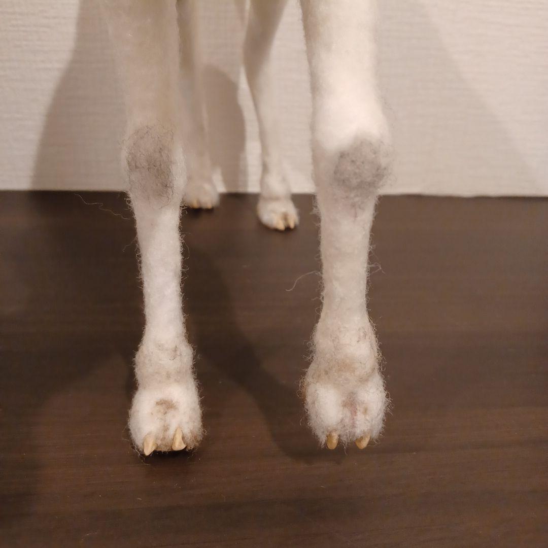 ラクダ(羊毛フェルト)ホワイト