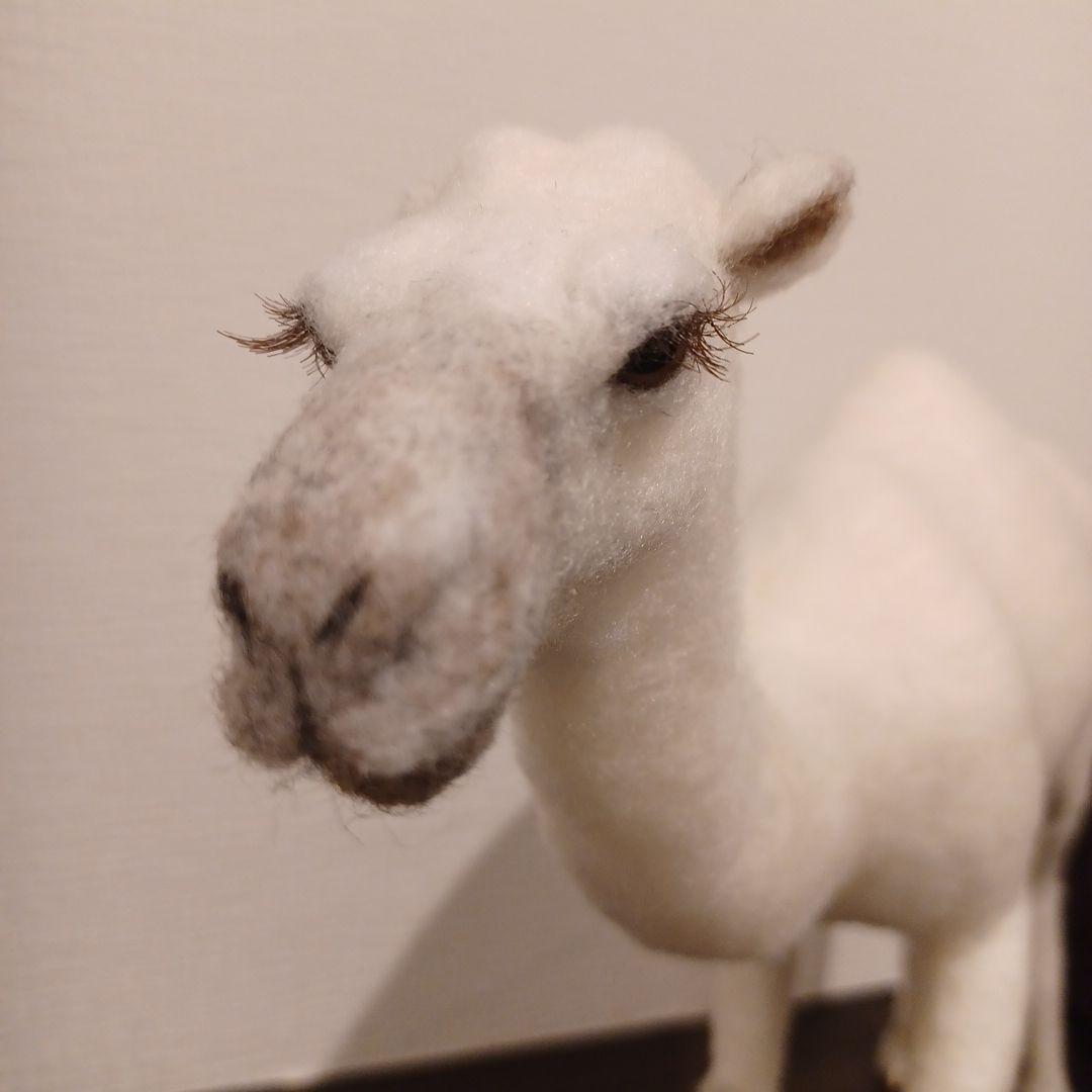 ラクダ(羊毛フェルト)ホワイト