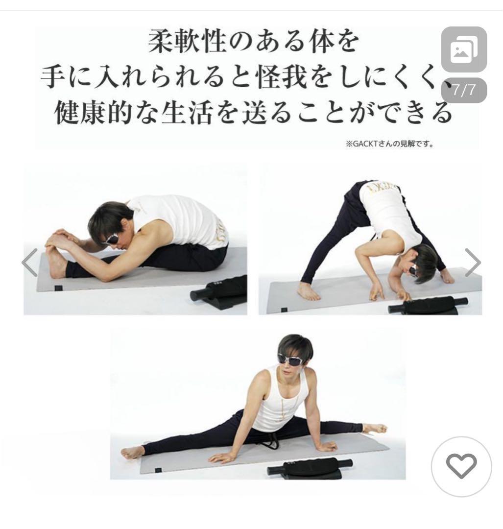 12/1迄期間限定値引エクストラリリース / GACKTプロデュース