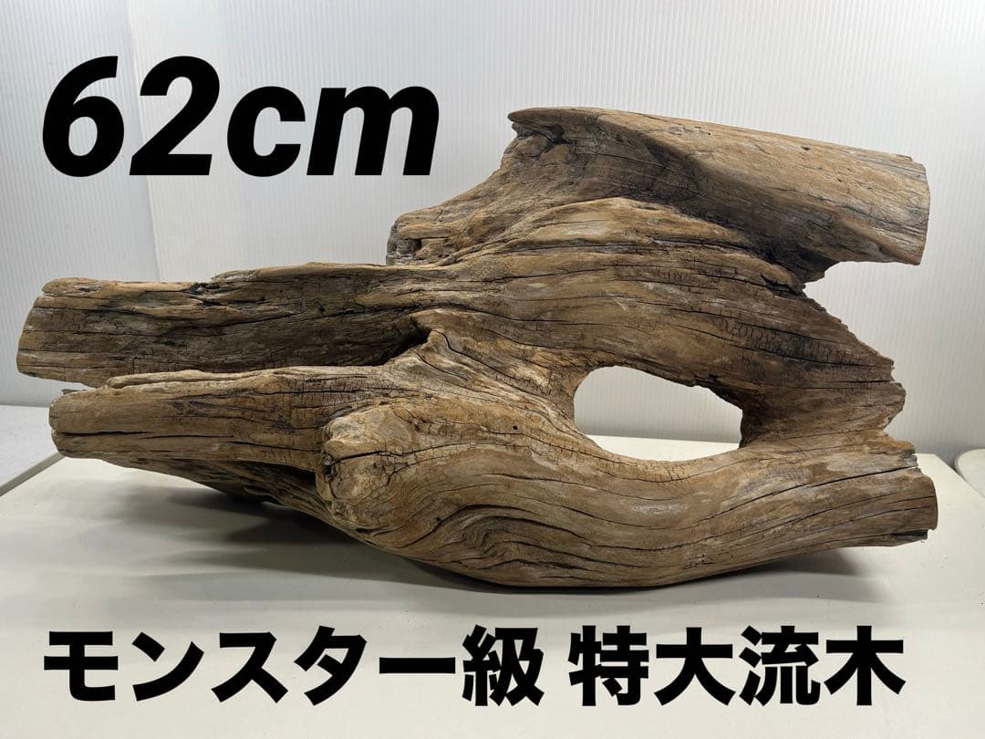 W28特大流木アク抜き済み流木 爬虫類シェルター 登り木 インテリア 生け花