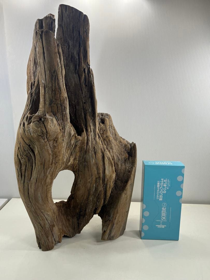 W28特大流木アク抜き済み流木 爬虫類シェルター 登り木 インテリア 生け花