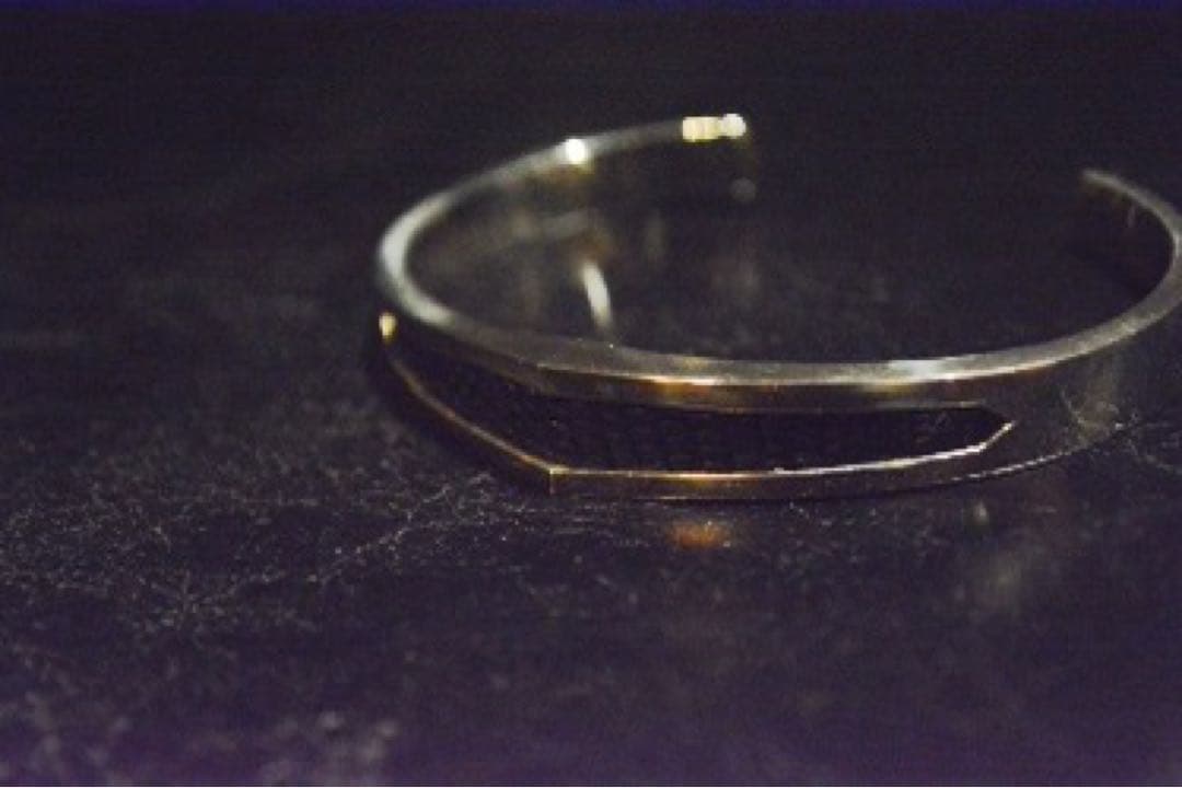 BACKLASH リザードシルバー925バングル イサムカタヤマ