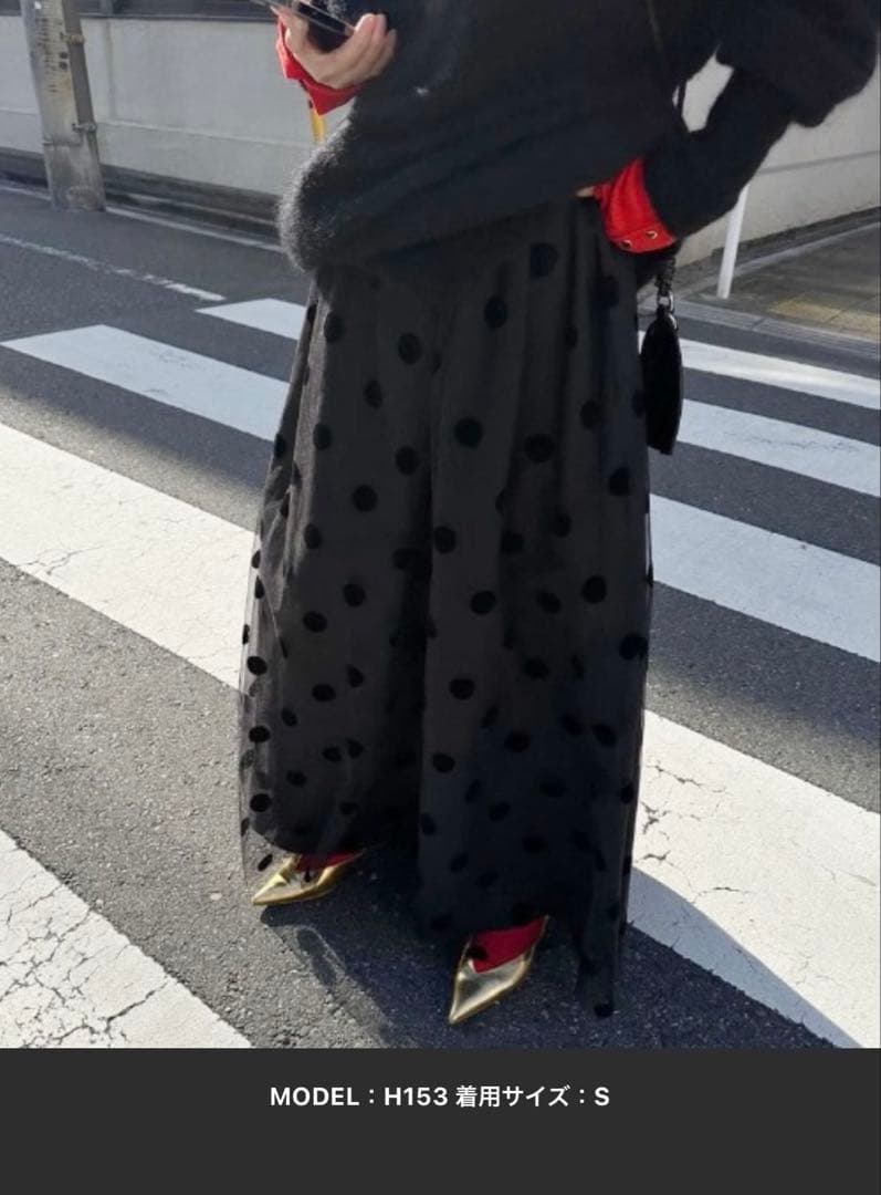 Ameri VINTAGE×OTONA MUSE ドットチュールスカート）