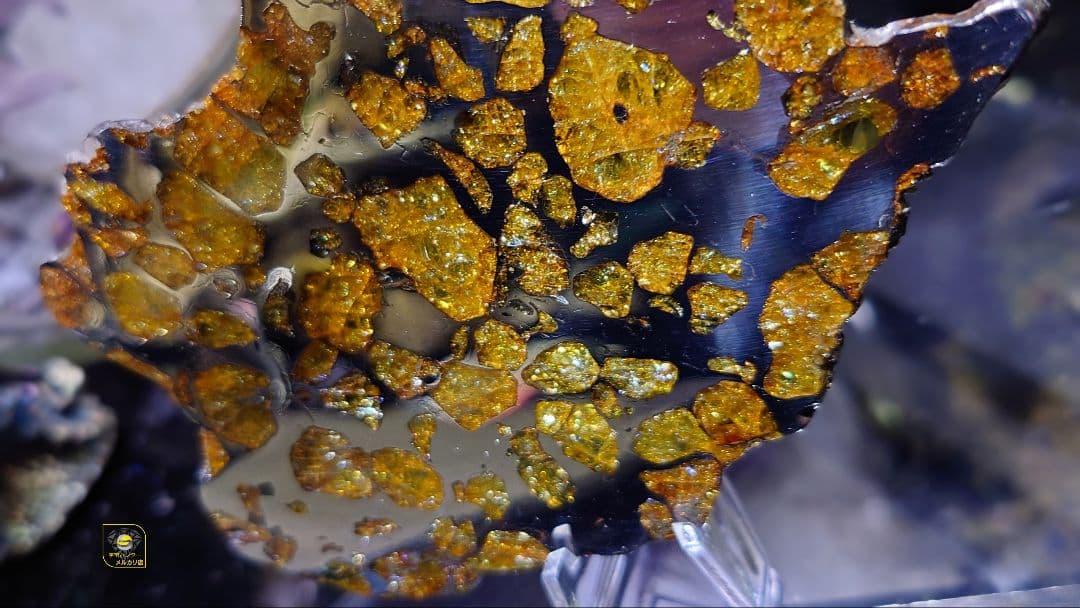 トッポー★65.59g イミラック パラサイト 隕石 Imilac⭐⭐⭐